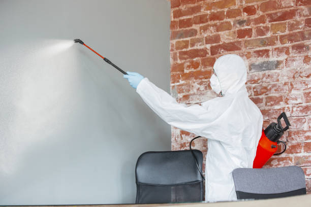 Best Air Quality Testing for Mold Spores  in Catonsville, MD