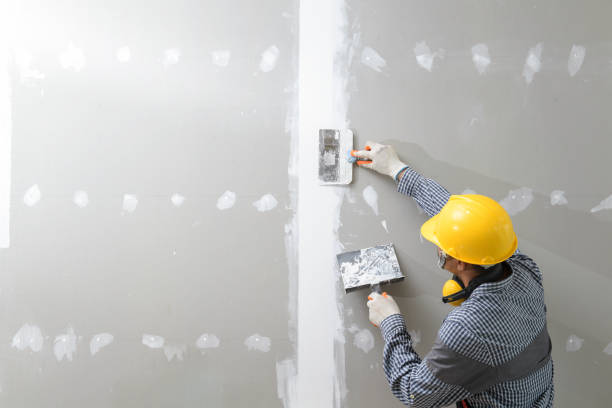 Best Mold Remediation for Healthcare Facilities  in Catonsville, MD